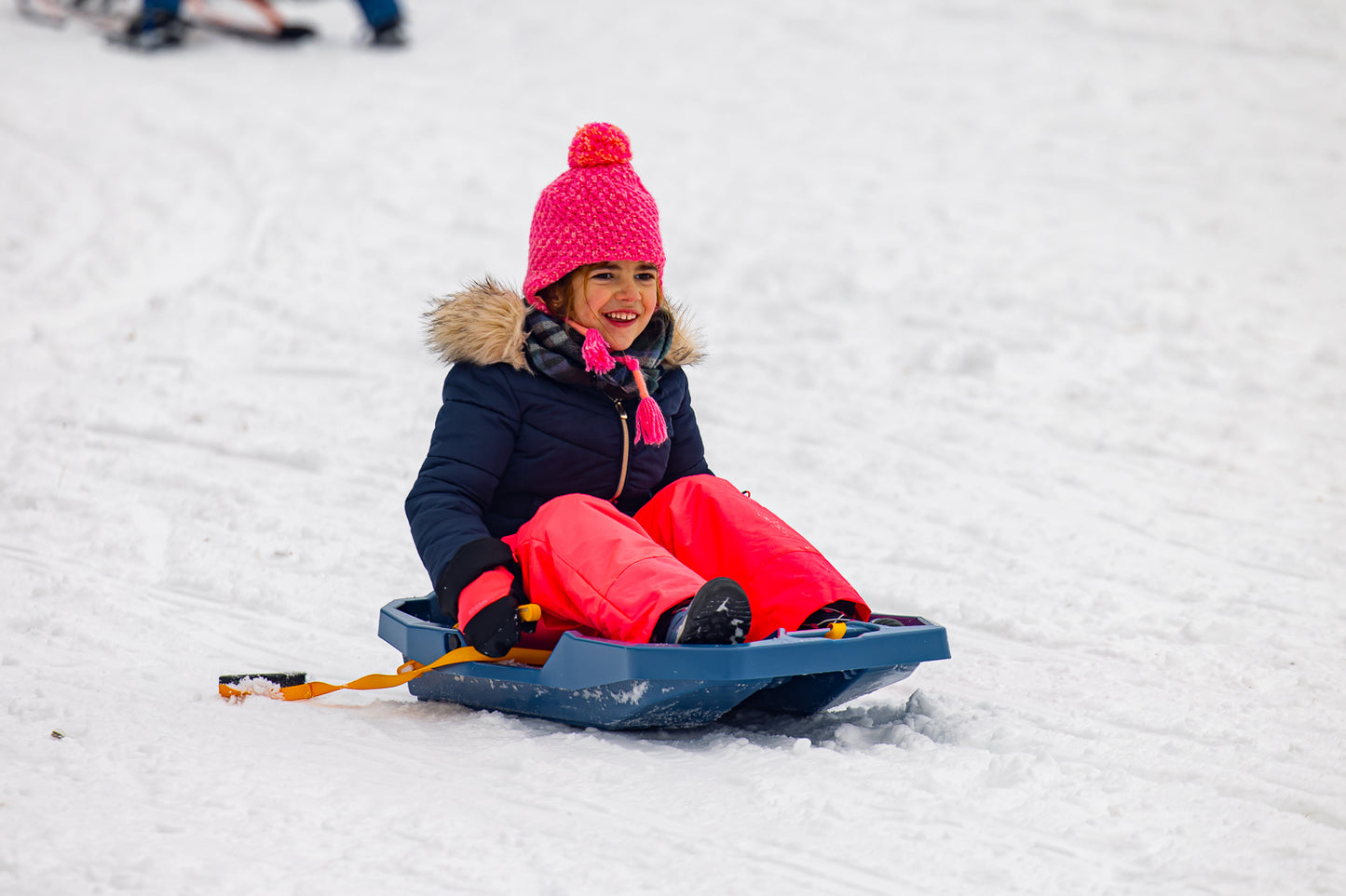 Alquiler Trineos - 25/26