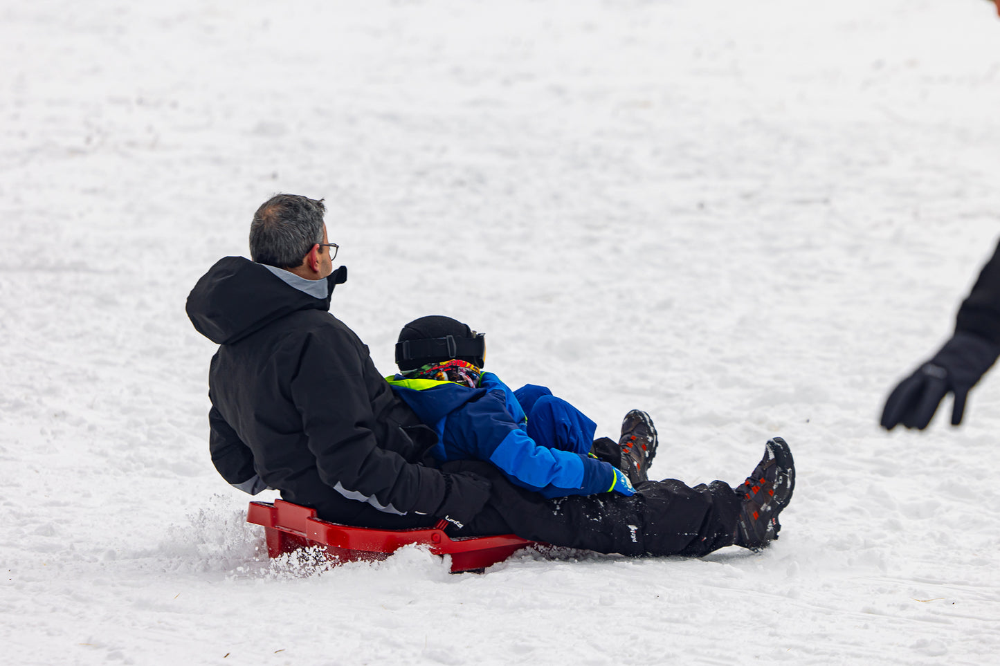 Ticket Telesilla (Paseantes, Trineos y Debutantes)