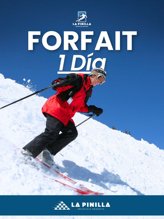 Forfait 1 día 25/26